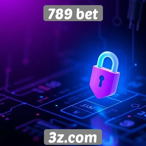Avaliação da segurança no site 789 bet